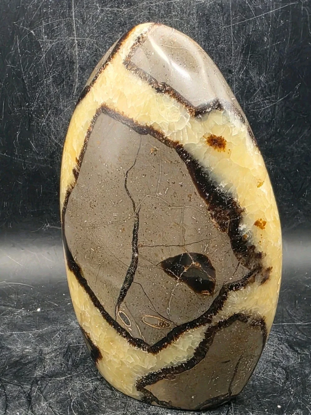 LARGE Septarian Dragon Egg Freeform Statement Piece NEW 5